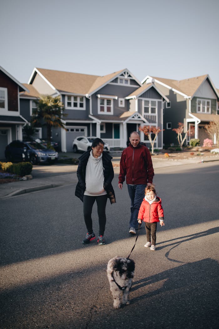 A family walks their dog in a peaceful suburban neighborhood street.